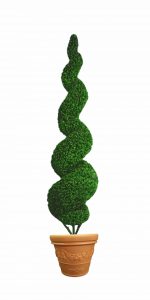 100 inch tall large spiral topiary tree in flower pot