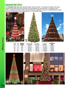 Barrango Catalog page 14 Canadian Pine large trees for light shows