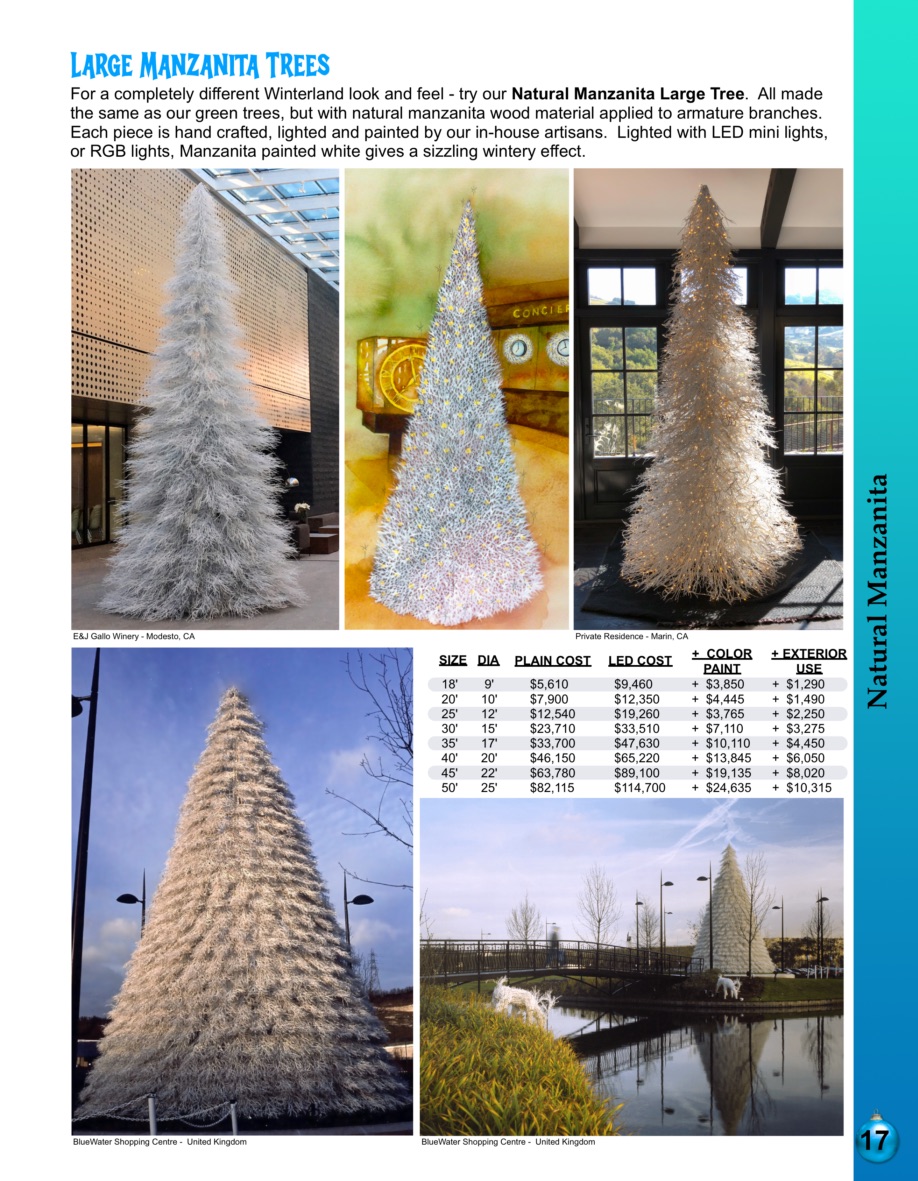 17-large-manzanita-trees Barrango Catalog page 17 Giant manzanita Christmas trees