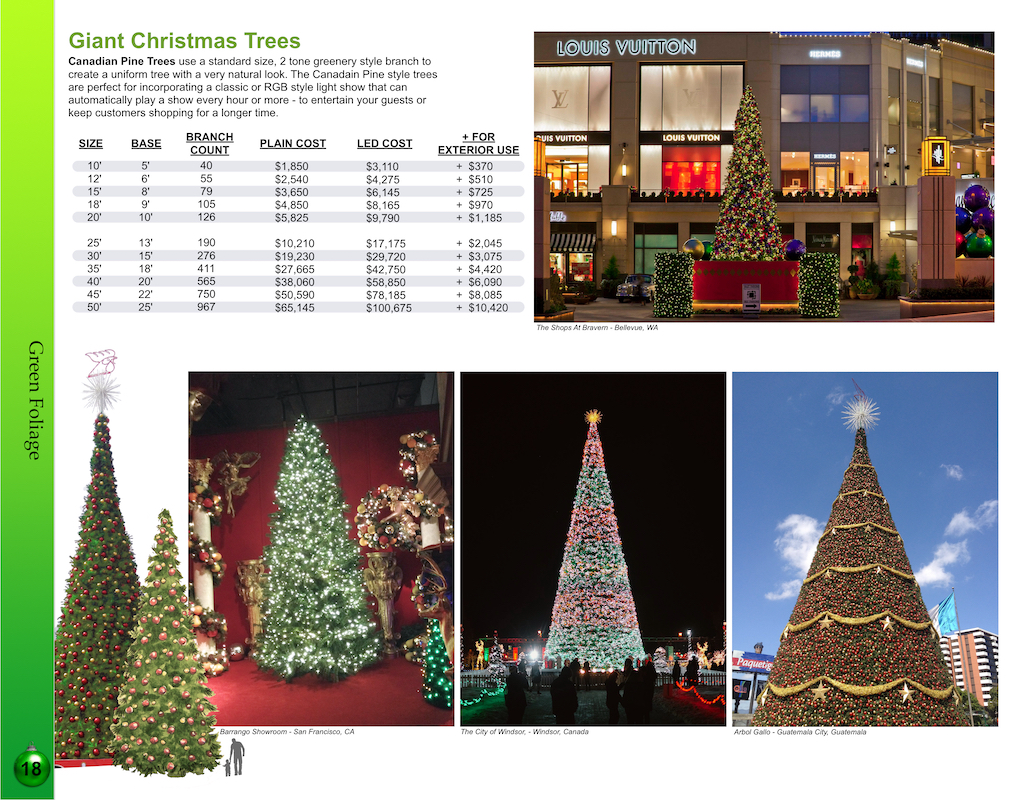 Giant Canadian pine Christmas Trees catalog page