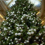 Giant DELUXE Mountain Pine Christmas Tree at Neiman Marcus SF