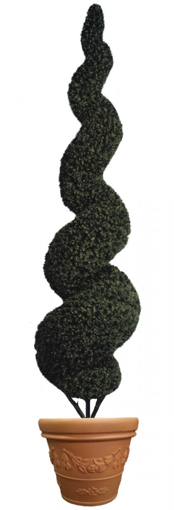 Giant Spiral Topiary
