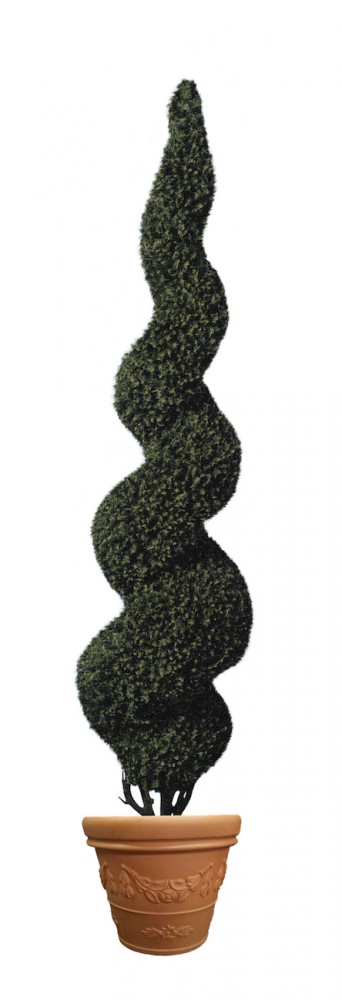 Medium Spiral Topiary