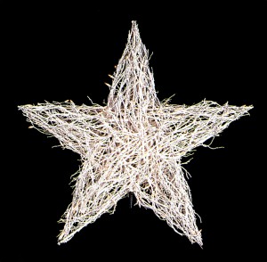 giant manzanita star