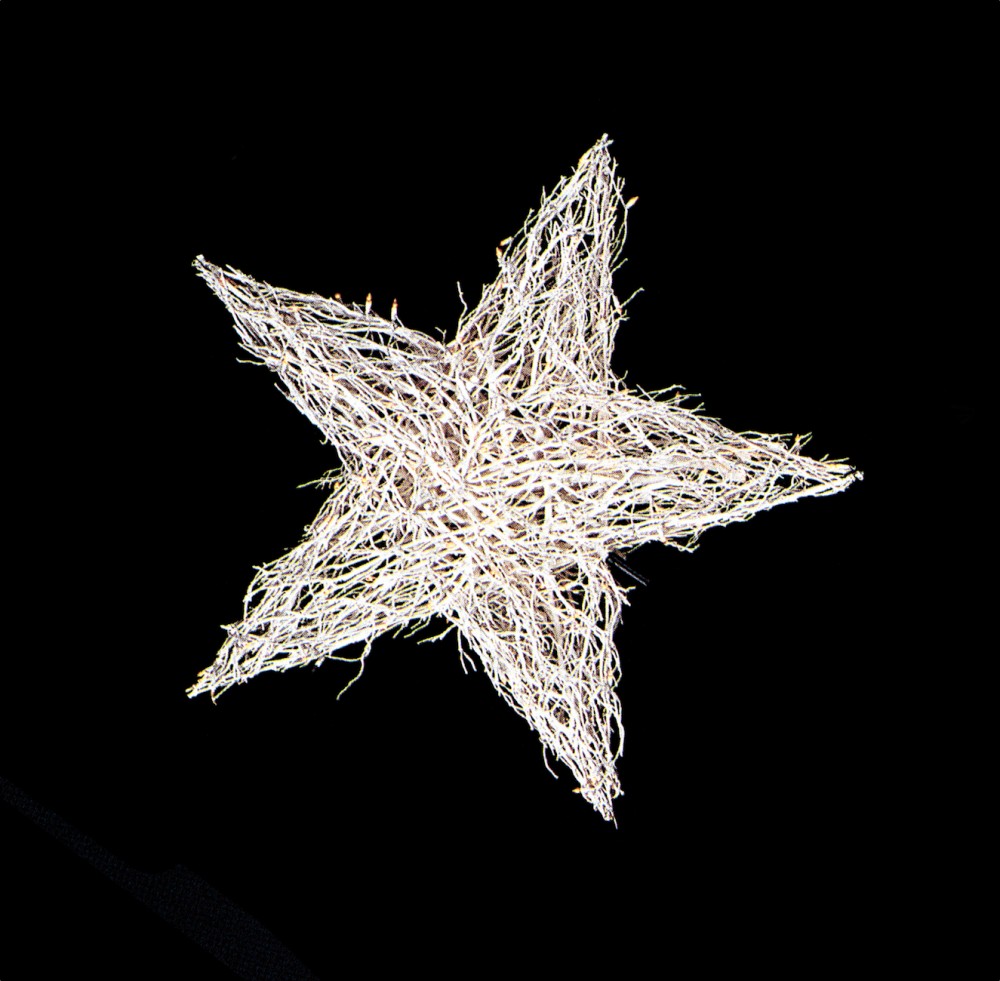 large manzanita star