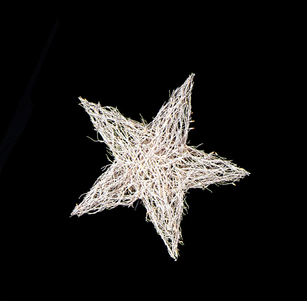 medium manzanita star