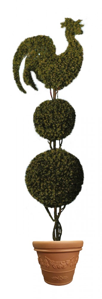 Rooster on Double Ball Topiary