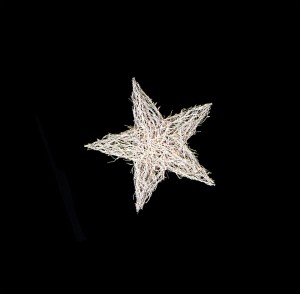small manzanita star