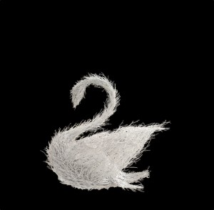 small manzanita swan