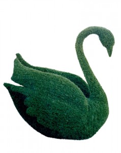 Giant-Size Topiary Swan