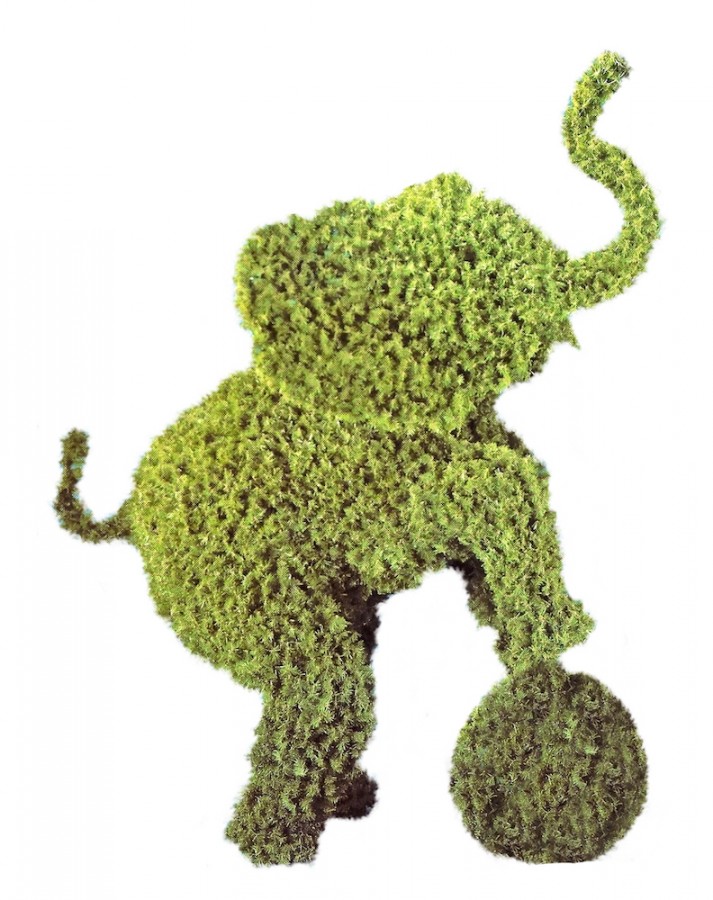 Life-Size Topiary Elephant