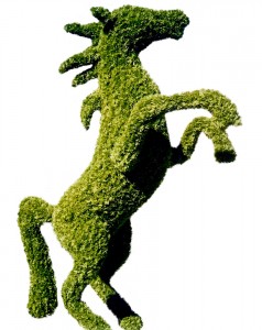 Life-Size Topiary Horse