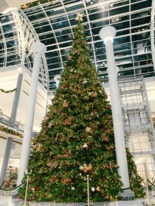 giant Barrango Christmas Tree in shopping center