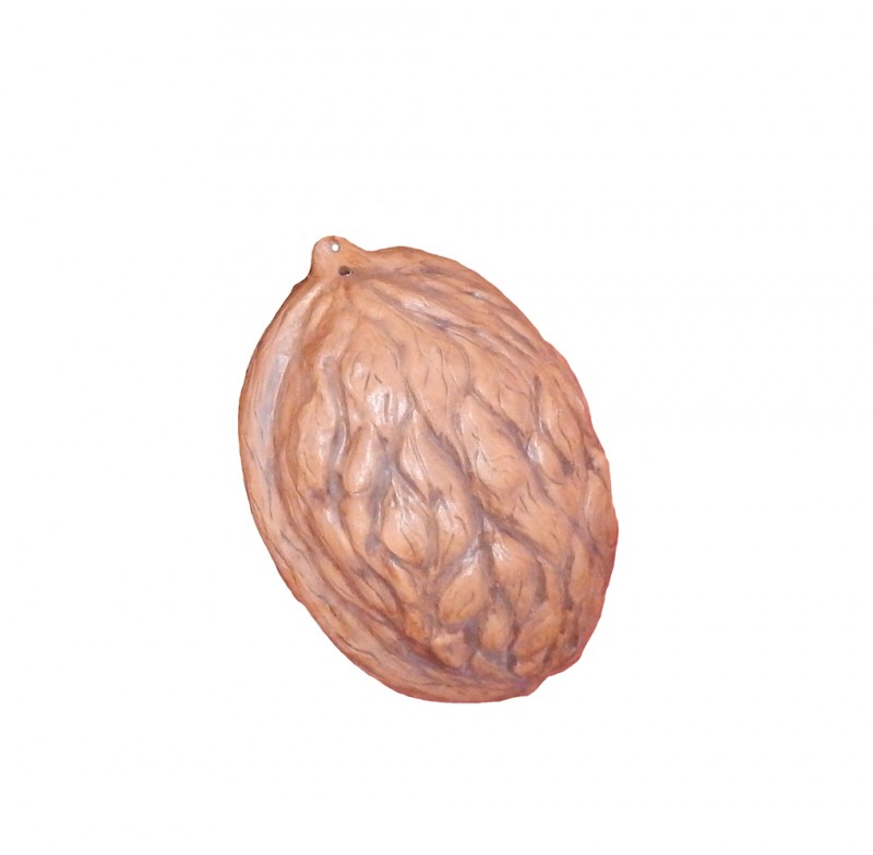 12 inch walnut