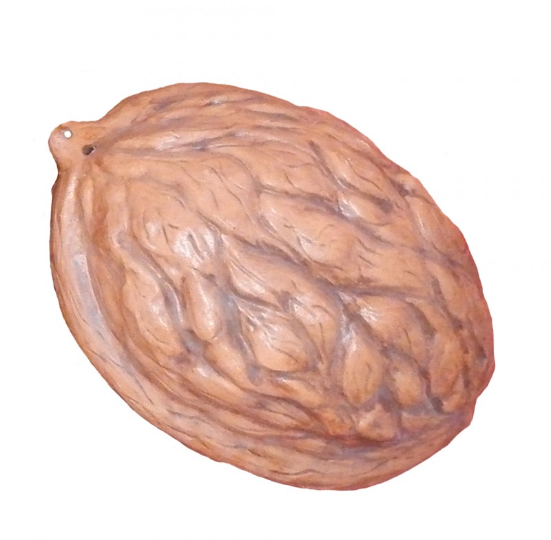 17 inch giant walnut