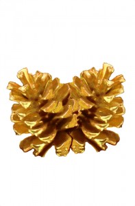 24 inch med pinecones in gold paint