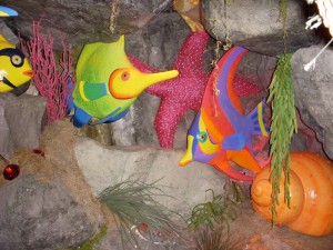 Tropical Fish in Under sea cave