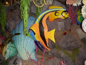 Tropical Angel Fish in Under sea cave