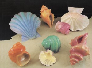 Barrango Fiberglass Sea Shells
