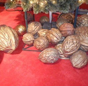all sizes walnuts under tree
