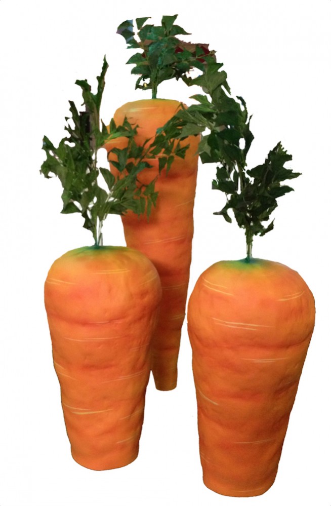carrot tops with greenery