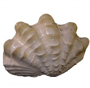 Giant Clam Shell Fiberglass sea shells