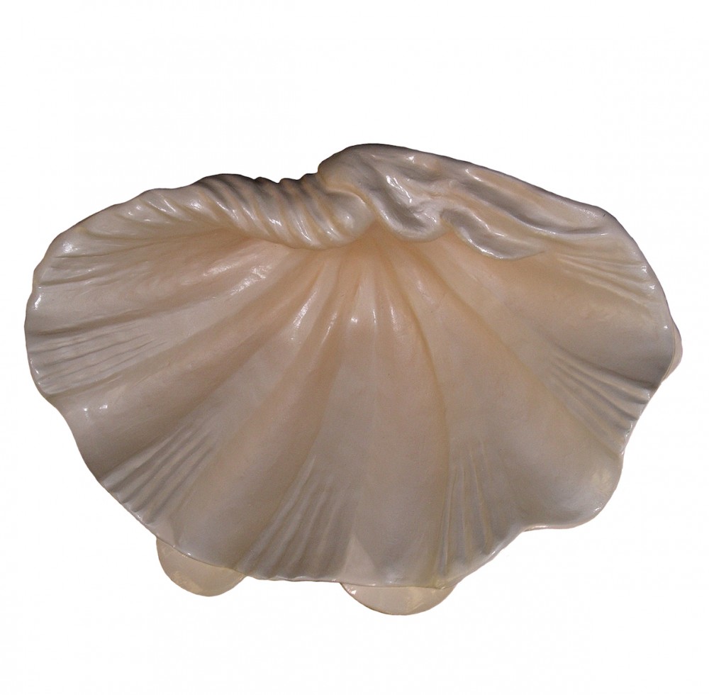 inside Giant Clam Shell Fiberglass sea shells