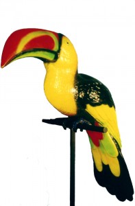 giant tuocan exotic bird