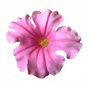pink petunia flower head only