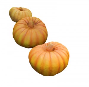 small fiberglass pumpkin