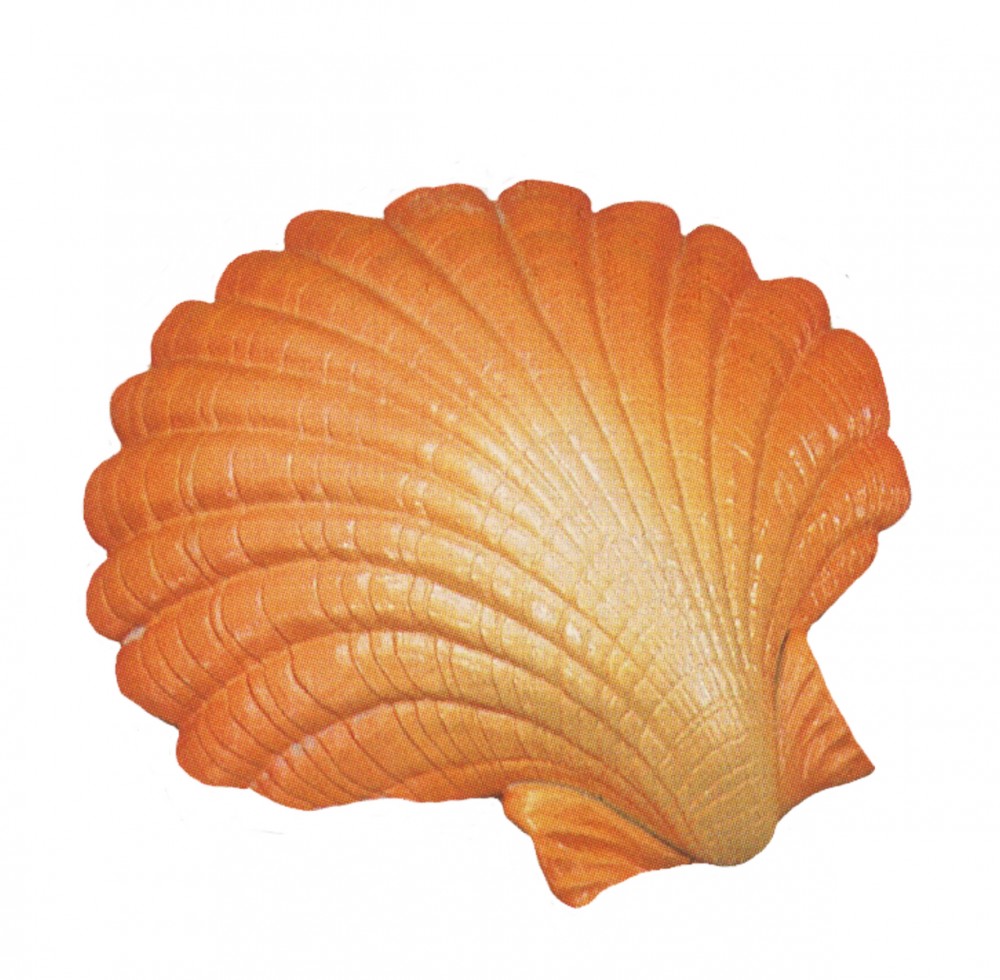 Small Scallop Shell Fiberglass seashells