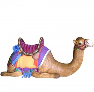 camel reclining