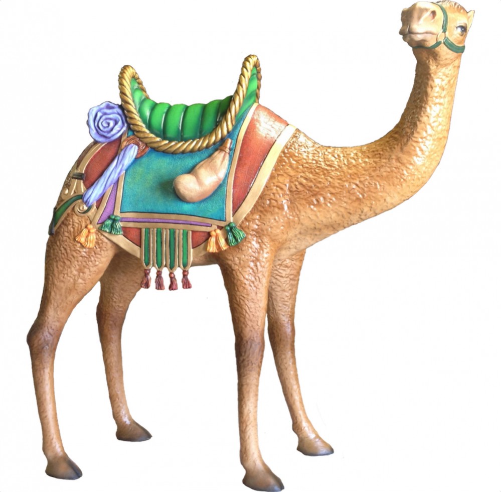 camel standing