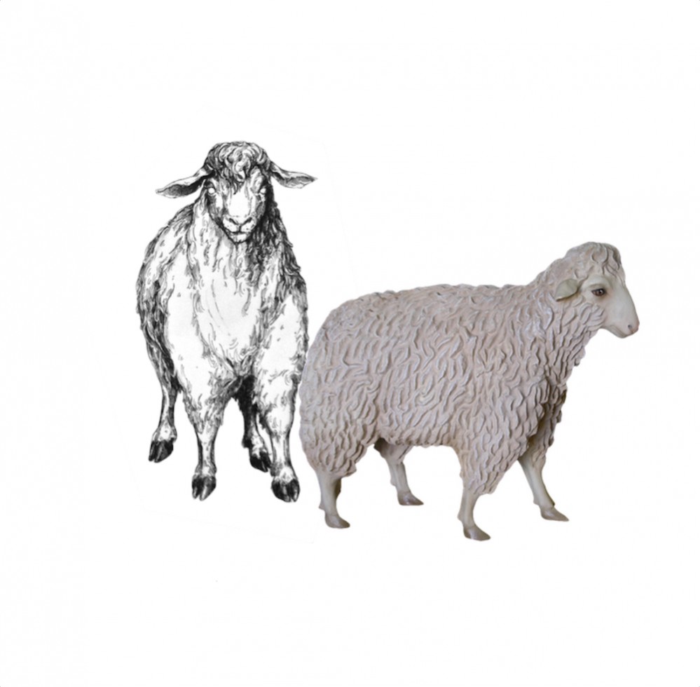 nativity animals sheep