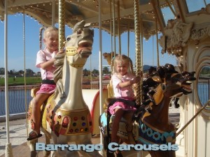 Barrango Carousel book cover