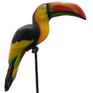 Giant exotic tropical rainforest birds