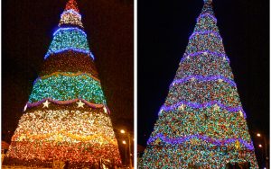 Arbol Gallo Giant Canadian Pine Christmas tree light show tech