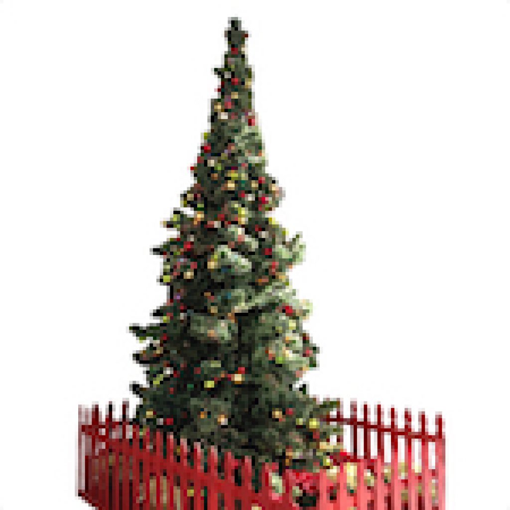 longneedlepinechristmastreethumb Barrango, MFG