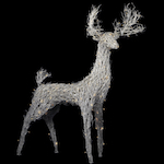 Manzanita Deer standing