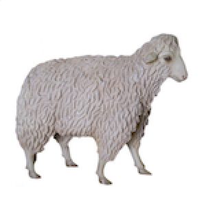 fiberglass nativity sheep animals religious icons