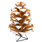 Giant Pinecone Forest items