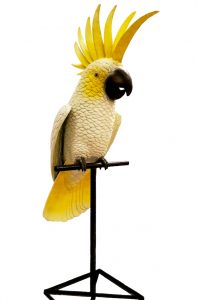 giant exotic tropical rainforest bird cockatoo yellow bird