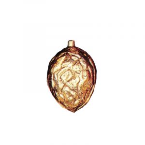 Golden 10" Walnut Ornament