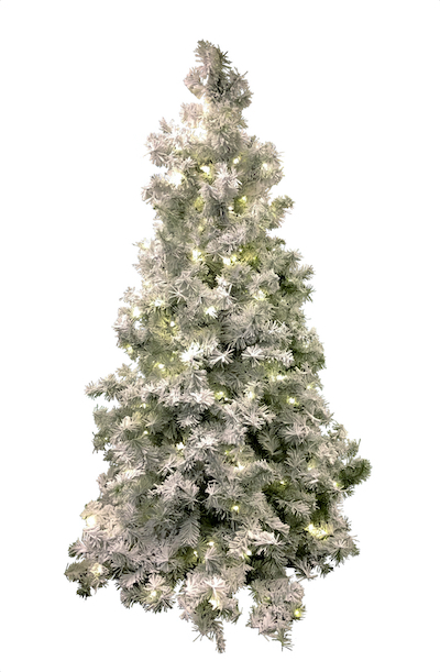 lightly flocked mountain pine trees Christmas tree