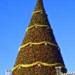 Giant Christmas Tree Canadian Pine style tree