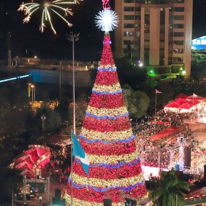 giant christmas trees light show tree technology