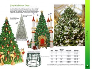 giant Mountain Pine Christmas Trees catalog page 2