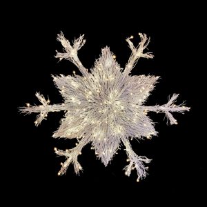 Medium Manzanita Snowflake