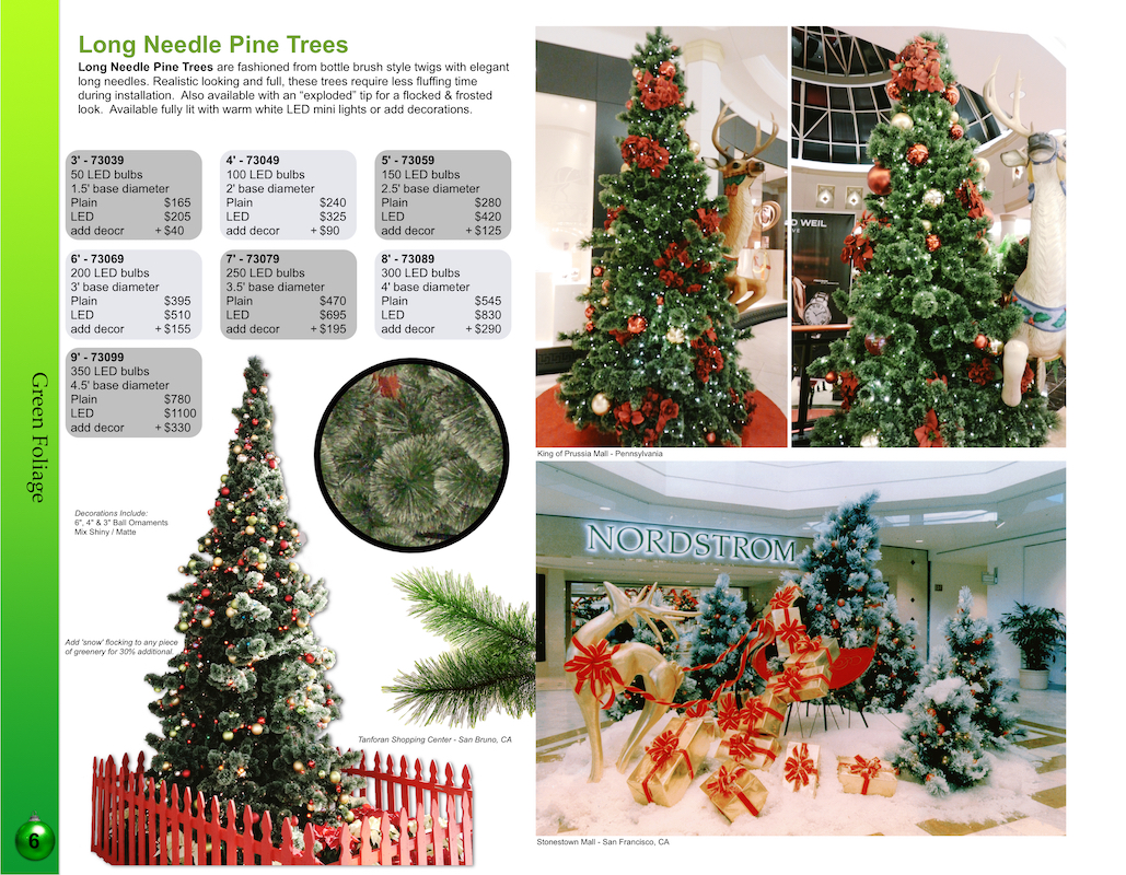 long needle pine Christmas trees catalog page