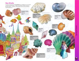 Sea Shells Catalog Page